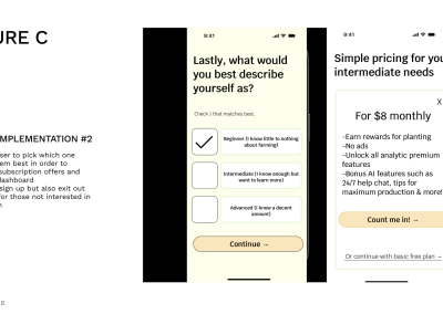 Feedback Implementation C